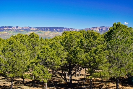 3 Bedroom Mountain Home for Sale in Ridgway, Colorado - image 28