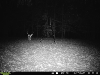 52 Ogden Road Home in Kingston Community of Natchez, MS - image 39