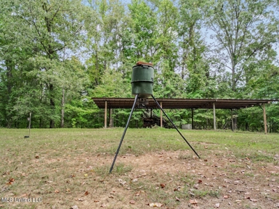 52 Ogden Road Home in Kingston Community of Natchez, MS - image 36