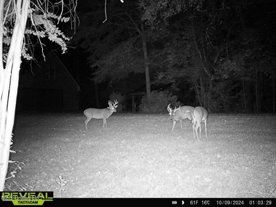 52 Ogden Road Home in Kingston Community of Natchez, MS - image 43