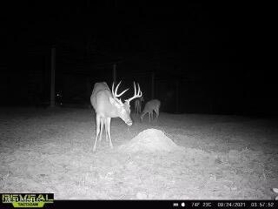 52 Ogden Road Home in Kingston Community of Natchez, MS - image 41