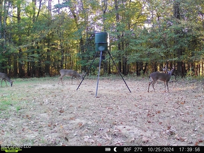 52 Ogden Road Home in Kingston Community of Natchez, MS - image 42