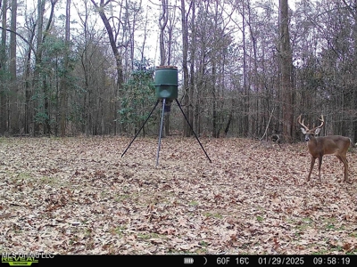 52 Ogden Road Home in Kingston Community of Natchez, MS - image 48