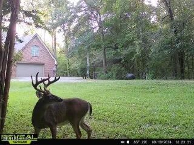 52 Ogden Road Home in Kingston Community of Natchez, MS - image 38