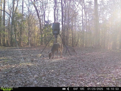 52 Ogden Road Home in Kingston Community of Natchez, MS - image 47