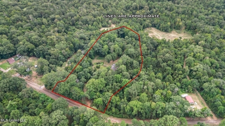 52 Ogden Road Home in Kingston Community of Natchez, MS - image 37