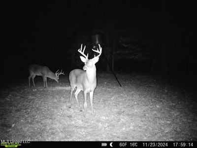 52 Ogden Road Home in Kingston Community of Natchez, MS - image 45