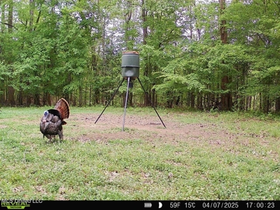 52 Ogden Road Home in Kingston Community of Natchez, MS - image 44