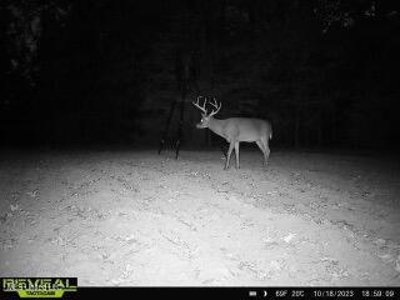 52 Ogden Road Home in Kingston Community of Natchez, MS - image 40