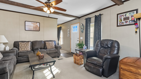 Discover the Perfect Blend of Comfort and Country Living - image 8