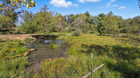 Discover the Perfect Blend of Comfort and Country Living - image 25