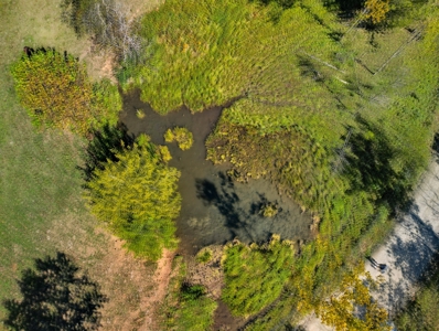 Discover the Perfect Blend of Comfort and Country Living - image 36