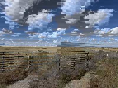 160 Acre New Mexico Ranch Land for Sale in Torrance County Near M - image 2