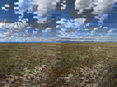 160 Acre New Mexico Ranch Land for Sale in Torrance County Near M - image 3