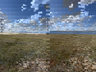 160 Acre New Mexico Ranch Land for Sale in Torrance County Near M - image 4