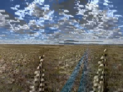 160 Acre New Mexico Ranch Land for Sale in Torrance County Near M - image 8