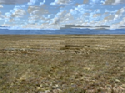 160 Acre New Mexico Ranch Land for Sale in Torrance County Near M - image 5