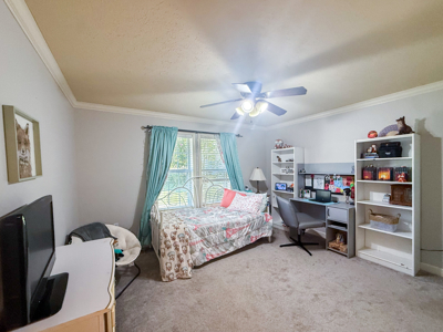 Beautiful Country Home For Sale on 6.5 Acres in Beebe, AR - image 18