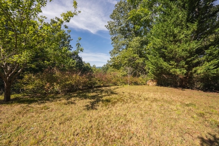Country Home and Land for Sale at Auction in Elkin NC - image 47