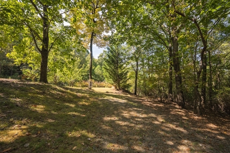 Country Home and Land for Sale at Auction in Elkin NC - image 46