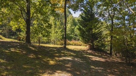 Country Home and Land for Sale at Auction in Elkin NC - image 37