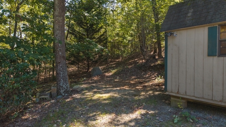 Country Home and Land for Sale at Auction in Elkin NC! - image 29