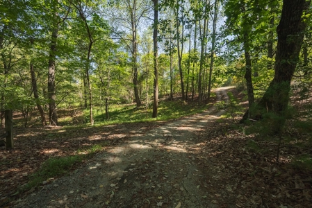 Country Home and Land for Sale at Auction in Elkin NC! - image 43