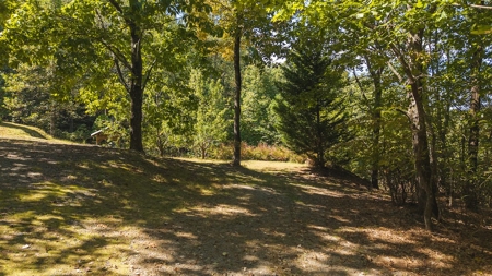 Country Home and Land for Sale at Auction in Elkin NC! - image 38