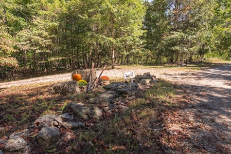 Country Home and Land for Sale at Auction in Elkin NC! - image 41