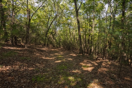 Country Home and Land for Sale at Auction in Elkin NC! - image 44