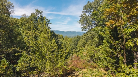 Country Home and Land for Sale at Auction in Elkin NC! - image 39