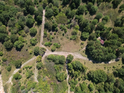 East Texas Country Home on 53 Acres with Pond, Trails, & Timber - image 21