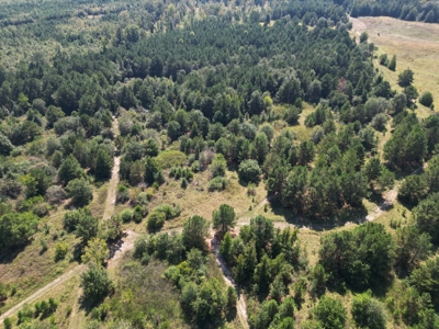 East Texas Country Home on 53 Acres with Pond, Trails, & Timber - image 22