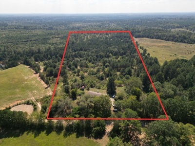 East Texas Country Home on 53 Acres with Pond, Trails, & Timber - image 32