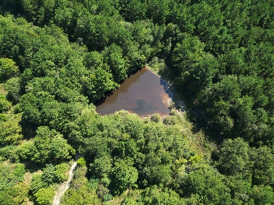 East Texas Country Home on 53 Acres with Pond, Trails, & Timber - image 20