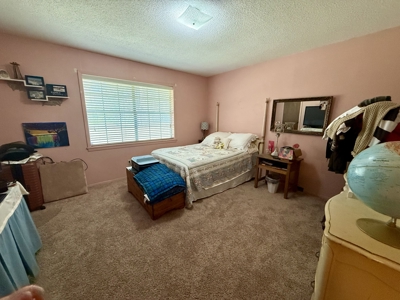 East Texas Country Home on 53 Acres with Pond, Trails, & Timber - image 5