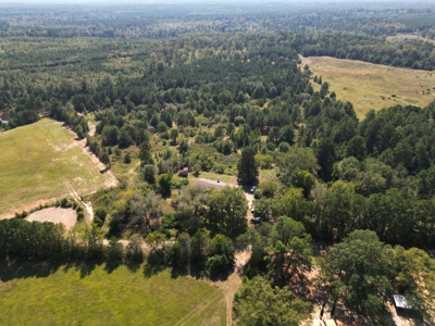 East Texas Country Home on 53 Acres with Pond, Trails, & Timber - image 25