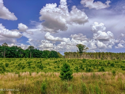 Land for Sale in Amite County, MS - image 13