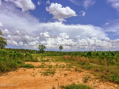 Land for Sale in Amite County, MS - image 9