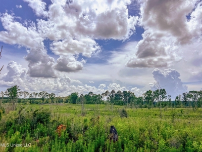 Land for Sale in Amite County, MS - image 6
