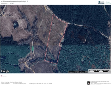 Land for Sale in Amite County, MS - image 15