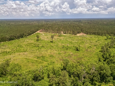 Land for Sale in Amite County, MS - image 2