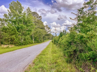 Land for Sale in Amite County, MS - image 4