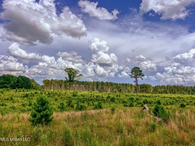 Land for Sale in Amite County, MS - image 11