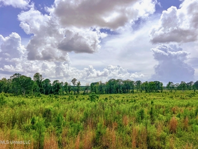 Land for Sale in Amite County, MS - image 10