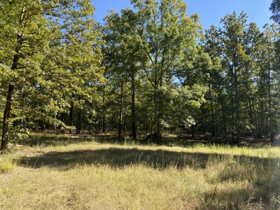 Land For Sale In Tn. Mature Hardwoods, 7.5Ac+/- No Restrictions - image 20