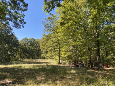 Land For Sale In Tn. Mature Hardwoods, 7.5Ac+/- No Restrictions - image 13