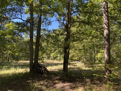 Land For Sale In Tn. Mature Hardwoods, 7.5Ac+/- No Restrictions - image 15