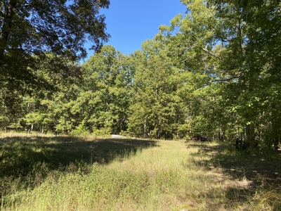 Land For Sale In Tn. Mature Hardwoods, 7.5Ac+/- No Restrictions - image 17