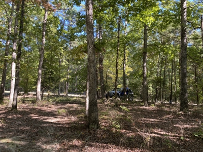 Land For Sale In Tn. Mature Hardwoods, 7.5Ac+/- No Restrictions - image 11